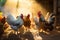 Flock of colorful chickens pecking at scattered grains in a sunlit barnyard. Generative AI