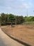 flock of Common Eland or Southern Eland or brown Eland gazelle in an open enclosure at the zoo