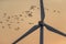 Flock of Cranes fly in sunrise colored sky near the wind turbine