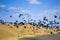 A flock of crows dine on a large pile of grain.