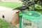 Flock of crows eating garbage from a trash bin