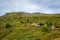 A flock of curious sheeps grazing on the alpine pasture near Lenzerheide in Switzerland - 1