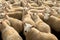 Flock Of Curious White Sheep With Cosy Wool In Scotland