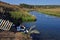 A flock of domestic geese in the Iren River near the hydrogen sulfide spring Manchibay takes healing baths. Sultry summer in the W