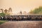 Flock of ducks with agriculturist herding on dirt road