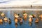 A flock of ducks with beautiful feathers sit on the blue ice of a frozen lake in winter, a waterfowl