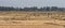 A flock of ethiopian cranes in flight. Seen in Bahir Dar, Ethiopia