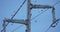 A flock of European starlings Sturnus vulgaris roost on overhead wires. Occitanie, France