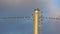 A flock of European starlings Sturnus vulgaris roost on overhead wires. Occitanie, France