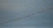 A flock of European starlings Sturnus vulgaris roost on overhead wires. Occitanie, France