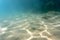 A flock of fish on the background of the sandy bottom of the Aegean Sea. Ichthyology is the science of fish.