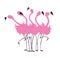 Flock of flamingos vector illustration