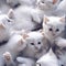 Flock of fluffy white kittens, portrait of ruffle white little cats, animal world, pet life, felines playing together, cute white