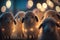 Flock of Funny Fluffy Little Sheep: A Cute Sheep Herd Image