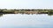 Flock of geese on shore of Briere Marsh, France