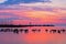 Flock Of Geese At Sunrise On Lake Ontario