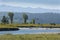 Flock of geese taking flight, Buffalo River, Jackson Hole, Wyomi