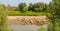 Flock of goats and sheep on a river bank in spring, in rural area in Europe