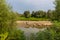 Flock of goats and sheep on a river bank in spring, in rural area in Europe