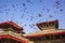 Flock of gray pigeons flying in a clear blue sky over the red roofs of ancient Asian temples