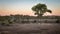 A flock of Guinea Fowl  Numida Meleagris at a waterhole, Ongava Private Game Reserve  neighbour of Etosha National Park, Namib