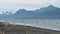 Flock of gulls flying from beach with mountain