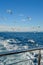 A flock of gulls follow a small ship