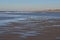 A flock of gulls on the seashore during a sunny afternoon