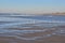 A flock of gulls on the seashore during a sunny afternoon