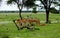 Flock of impala antilopes in botsuana