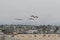 Flock of juvenile brown pelicans flying in formation in Hermosa Beach, California