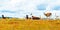 A flock of Lamas in the Atacama desert, South America, Chile. Copy space for text