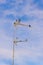 A flock of Laundress birds on a TV antenna against stunning blue sky with clouds