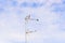 A flock of Laundress birds on a TV antenna against stunning blue sky with clouds