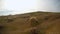 Flock of lop-eared sheep on a hill on the outskirts of an ancient Arab city in southern Turkey