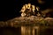 Flock of Mallard chicks perched on the sandy beach at the edge of a tranquil lake