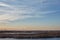 Flock of migrating blackbirds at Cheyenne Bottoms