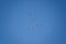 A flock of migrating greylag geese flying in formation. In silhouette against blue clear sky