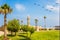 Flock of migratory birds flies in the blue sky