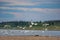 A flock of Northern white gulls flies over the stone Bank of the taiga river Viluy in Yakutia against the background of the taiga