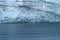 Flock Of Pelagic Cormorant Flying Next To Margerie Glacier At Glacier Bay National Park, Alaska