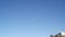 Flock of pelican flying, palm trees, California coast, pelecanus flight in sky.