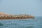 Flock of pelicans, Ballestas Islands, Peru, South America