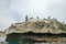 Flock of pelicans on a cliff top.