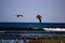 A flock of pelicans in flight over the rippling ocean water and silky brown sand at the beach