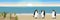 A flock of penguins. A family of two penguins and a chick on a sandy beach. Coast of the sea or the ocean