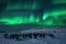 Flock of penguins and the southern lights in Antarctica, Aurora Australis