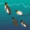 Flock of penguins swimming under the sea on blue gradient background with waves, vector stock illustration in Cartoon style,