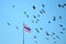 Flock of pigeons on blue sky, Thailand flag on flagstaff