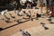 Flock of pigeons on the city street on a summer day.